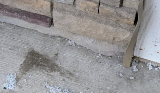 "[They leave] them sticking to the wall greeting you every time you walk in."