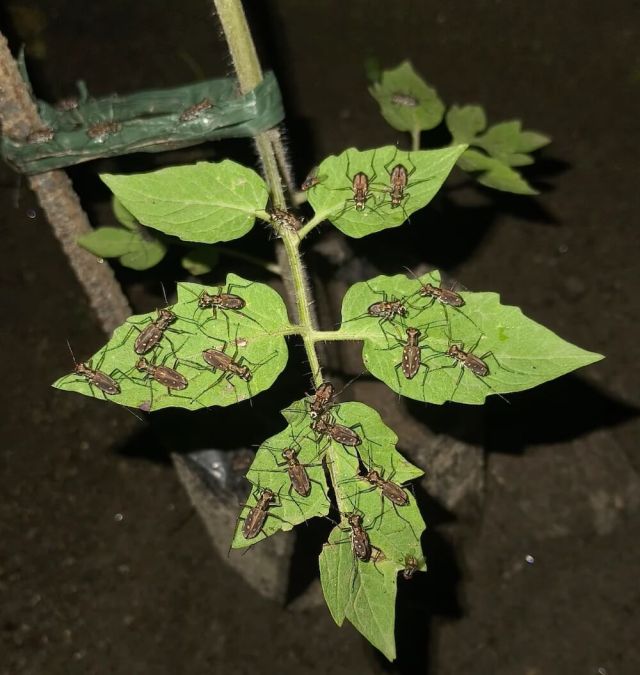 "They called a meeting at your plant."