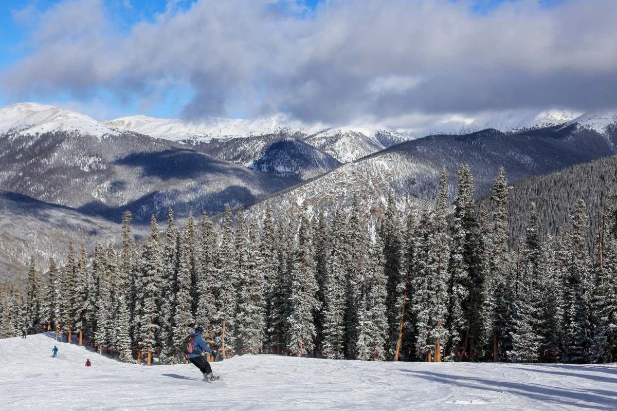 "We found the bear while he was walking through the trees of connecting runs."