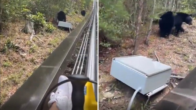 "I got scared just watching this."