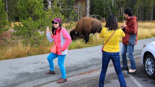 "This is how you end up in the Mammoth Clinic."