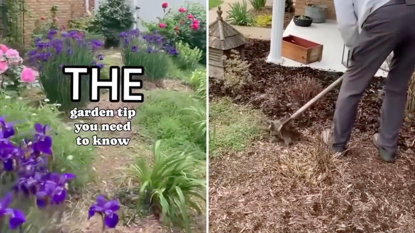 This low-effort trick can help your garden work smarter without much time investment.
