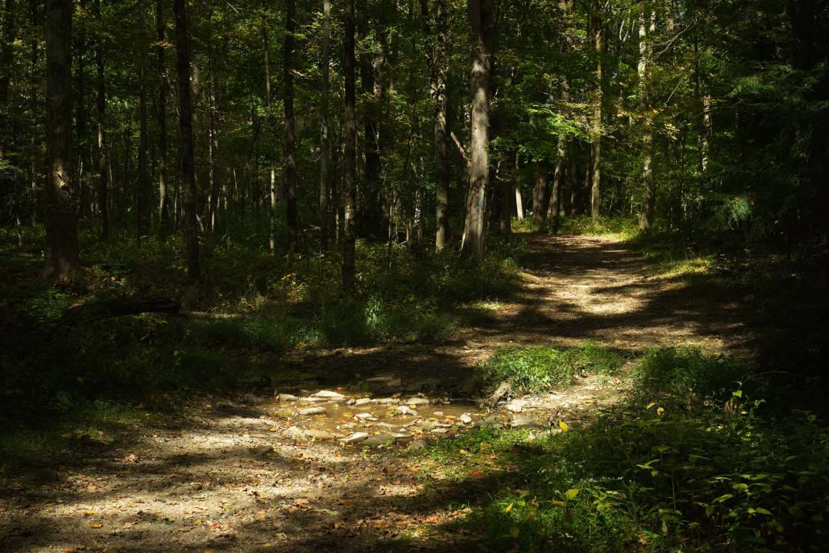 "Witnessing the spread of this behavior had a profound effect on all of us."