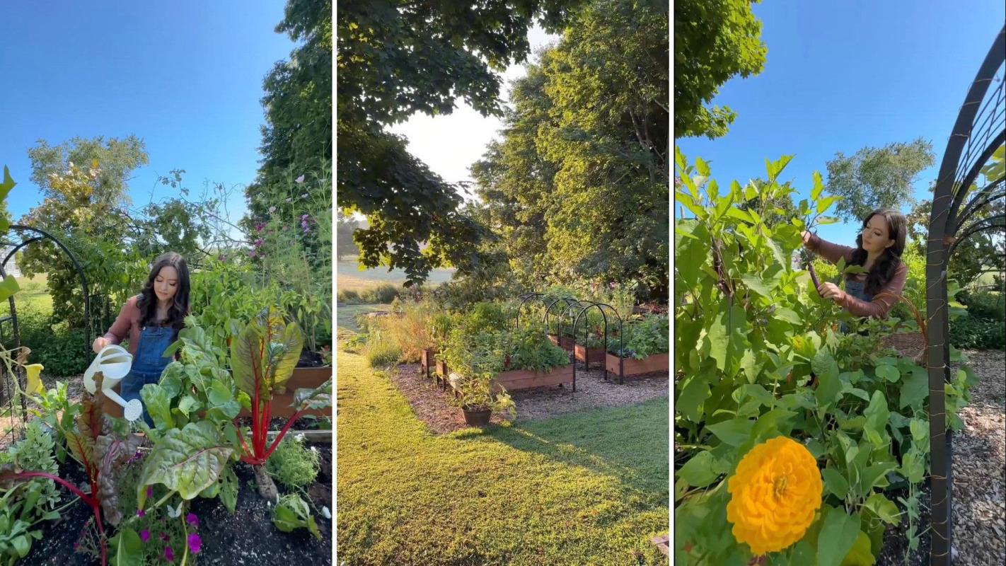 "You don't need toxic pesticides or to waste hours handpicking munching bugs off your plants."