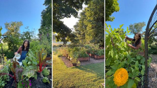 "You don't need toxic pesticides or to waste hours handpicking munching bugs off your plants."