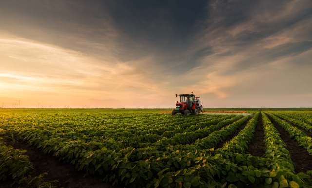 Farmers’ livelihoods are threatened, and the agriculture industry could suffer.