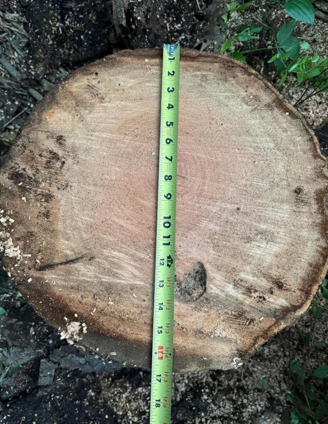 "No better feeling than running a chainsaw."