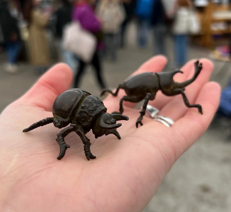 "What a cool find!"