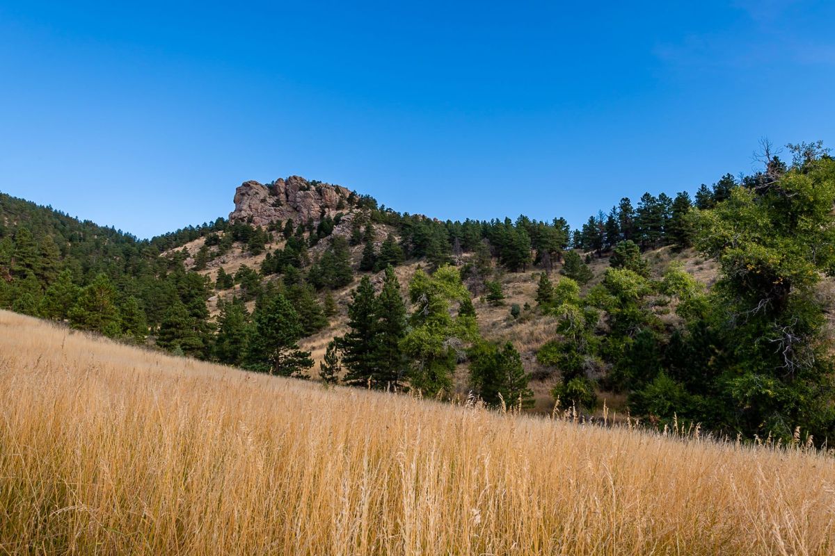 Similar programs have been used in other parks and open space areas.