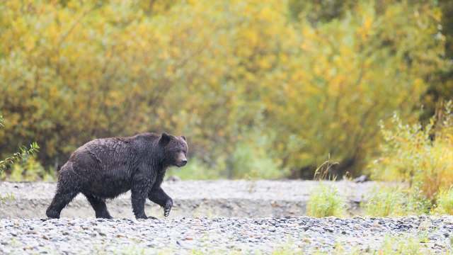 The funding is set to support an effort unfolding over the course of three years and across 1.2 million acres.