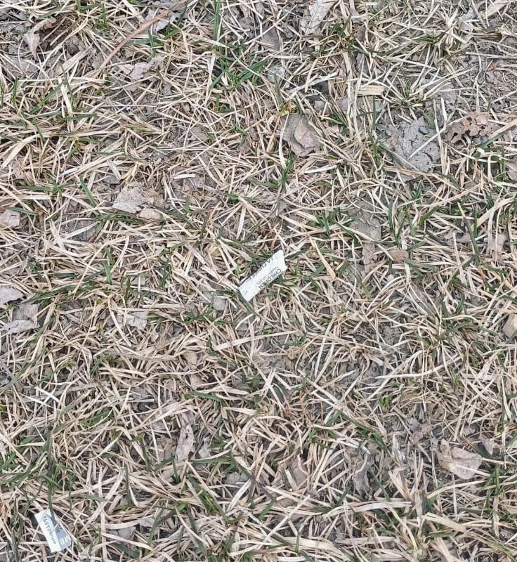 It's tough dealing with neighbors who don't have respect for the community or the environment.