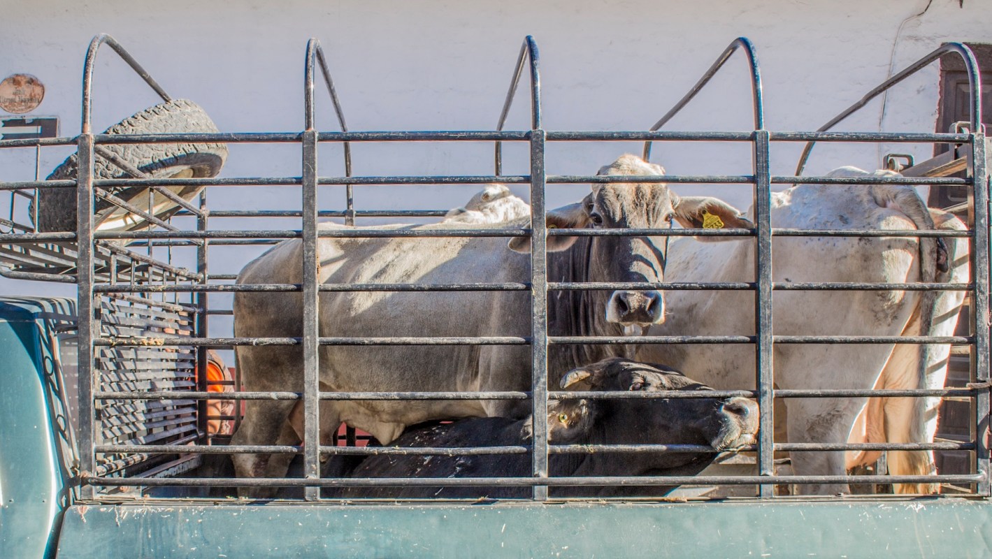 The situation is already impacting the food supply chain.
