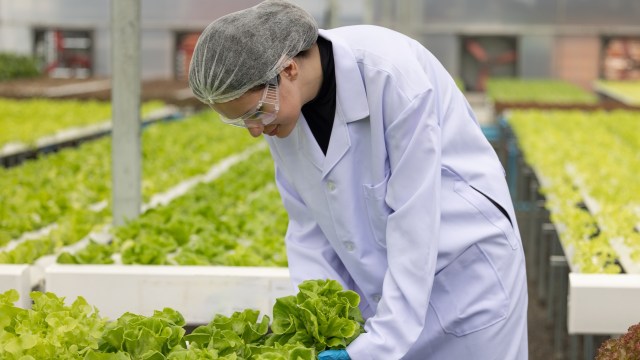 The researchers say the approach is "promising."