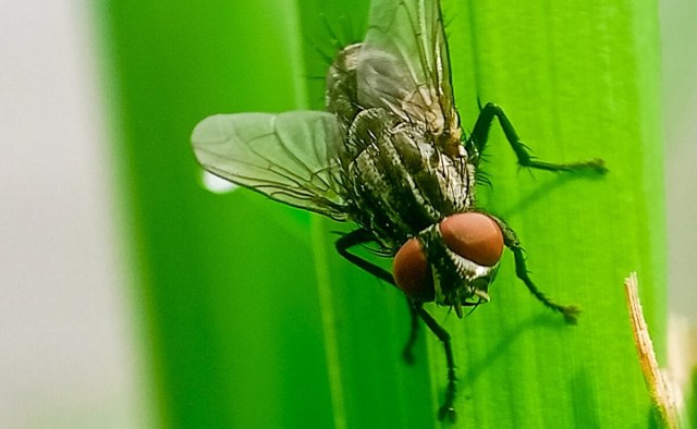 The situation is already impacting the food supply chain.