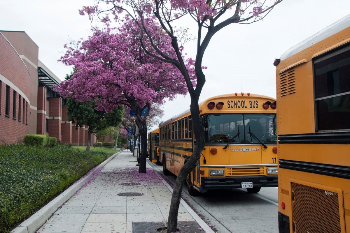 Hundreds of school districts nationwide are waiting on federal funding to cover the costs of their own electric buses.