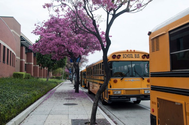 Hundreds of school districts nationwide are waiting on federal funding to cover the costs of their own electric buses.