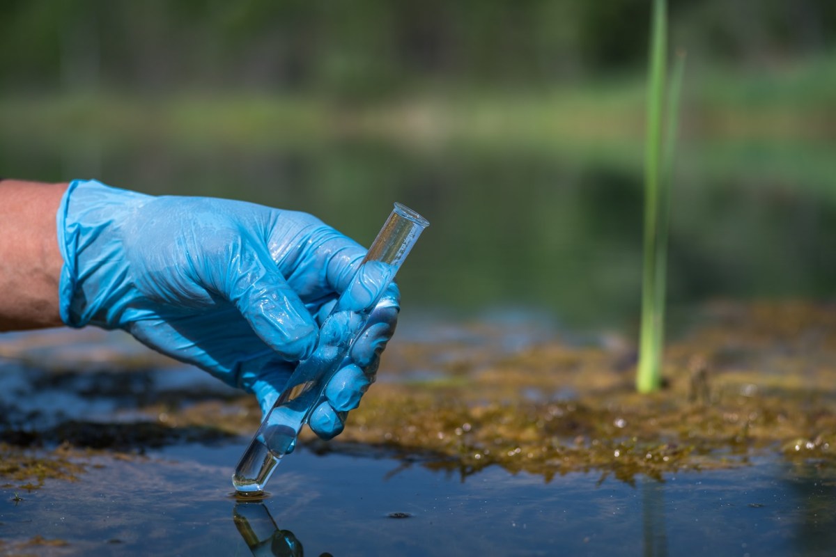 Scientists have repeatedly called for more research.
