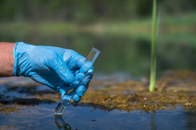 Scientists have repeatedly called for more research.