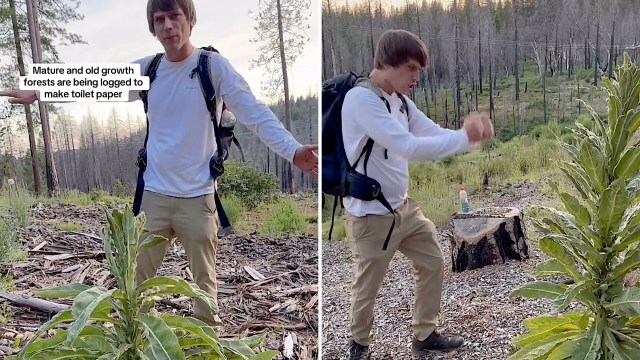 "Every time I see invasive plants, I rip them out."