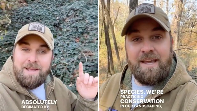 "Plant things that are native to your area."