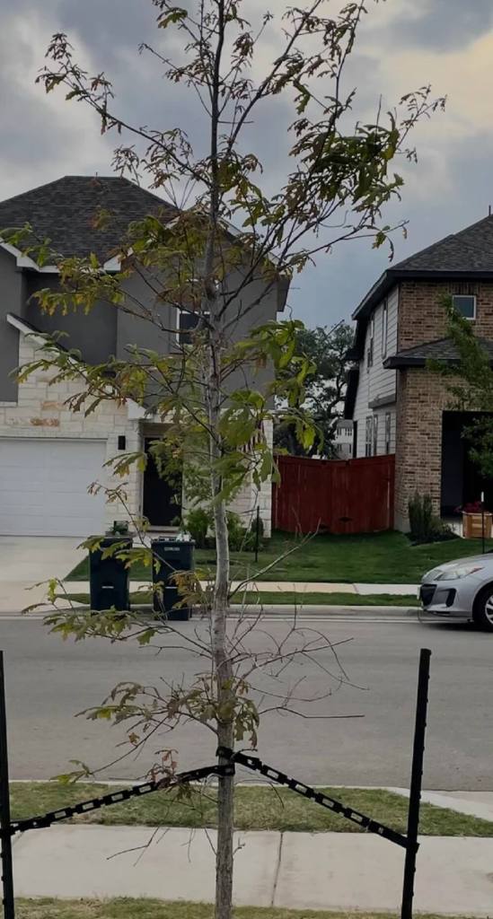 "Make the HOA prove it is dead."