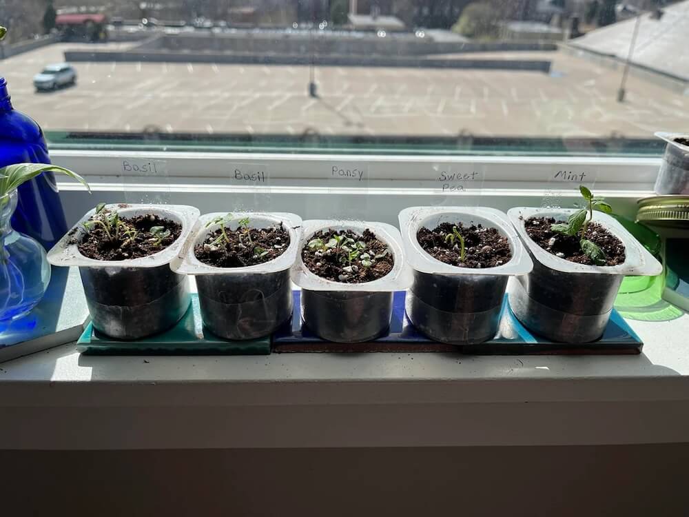 "That will be a sizable garden."