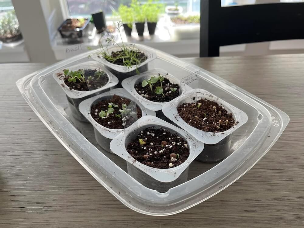 "That will be a sizable garden."