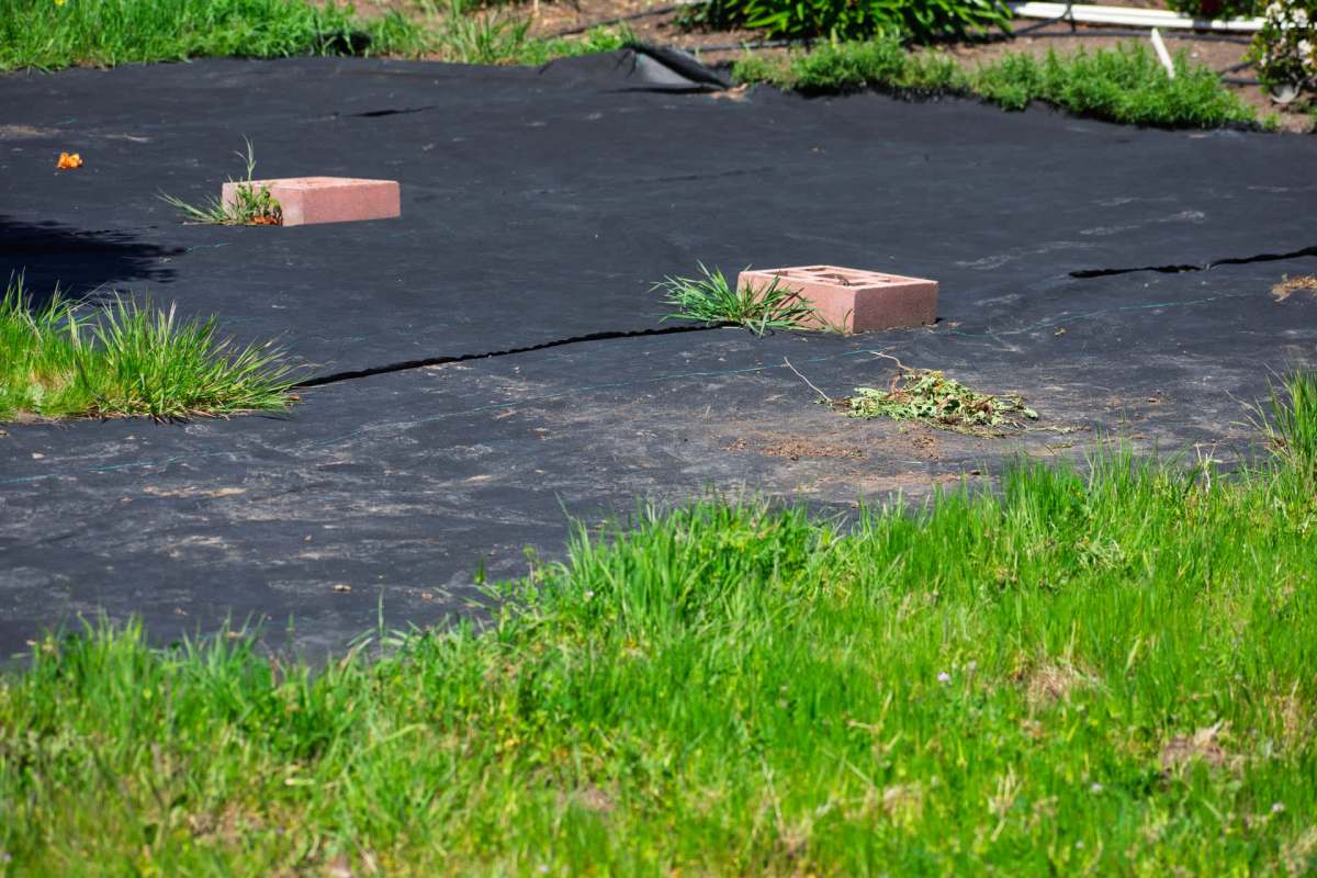 It's a waste of money for gardeners.