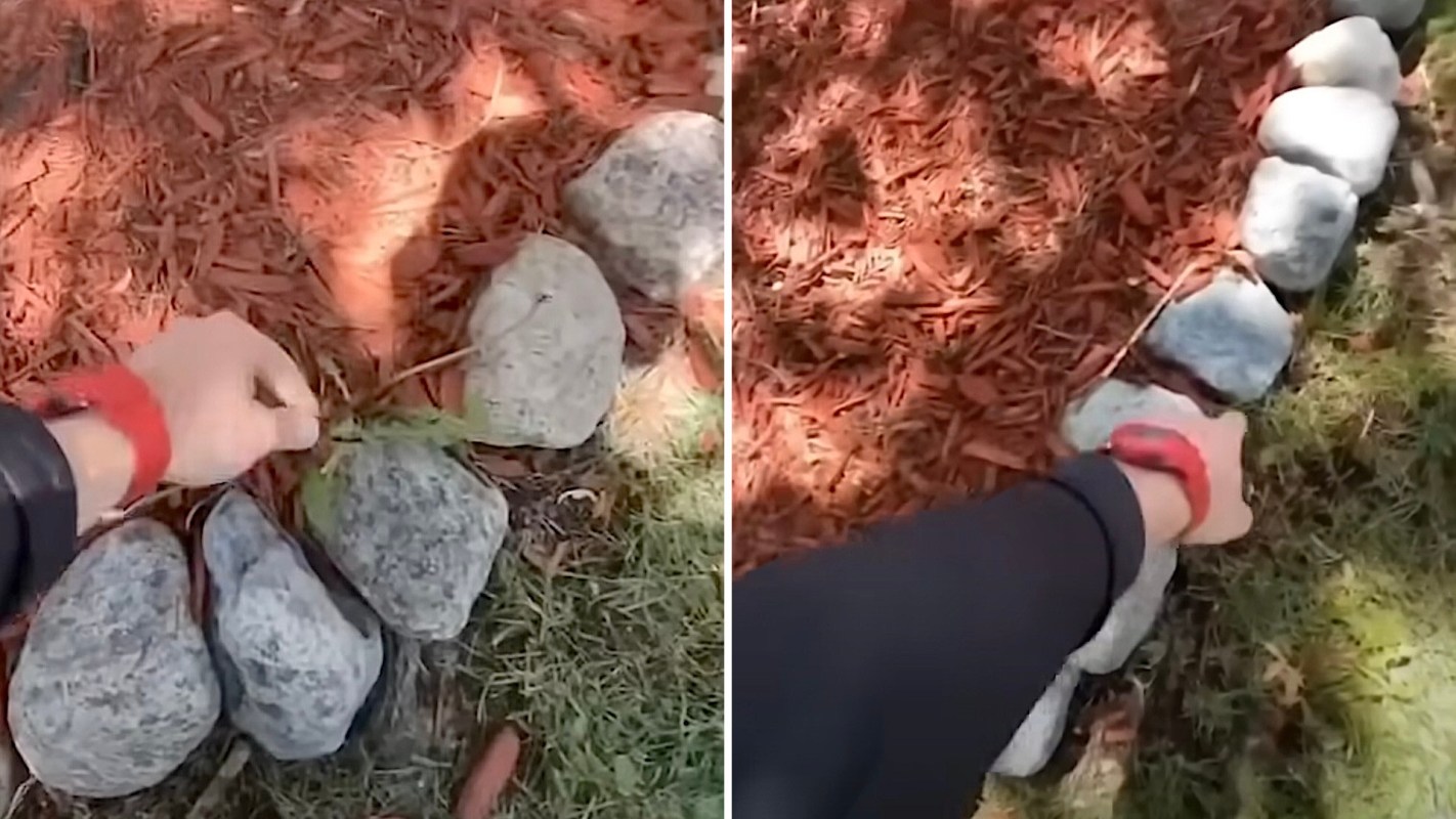 "It's easier to pull out of just mulch."
