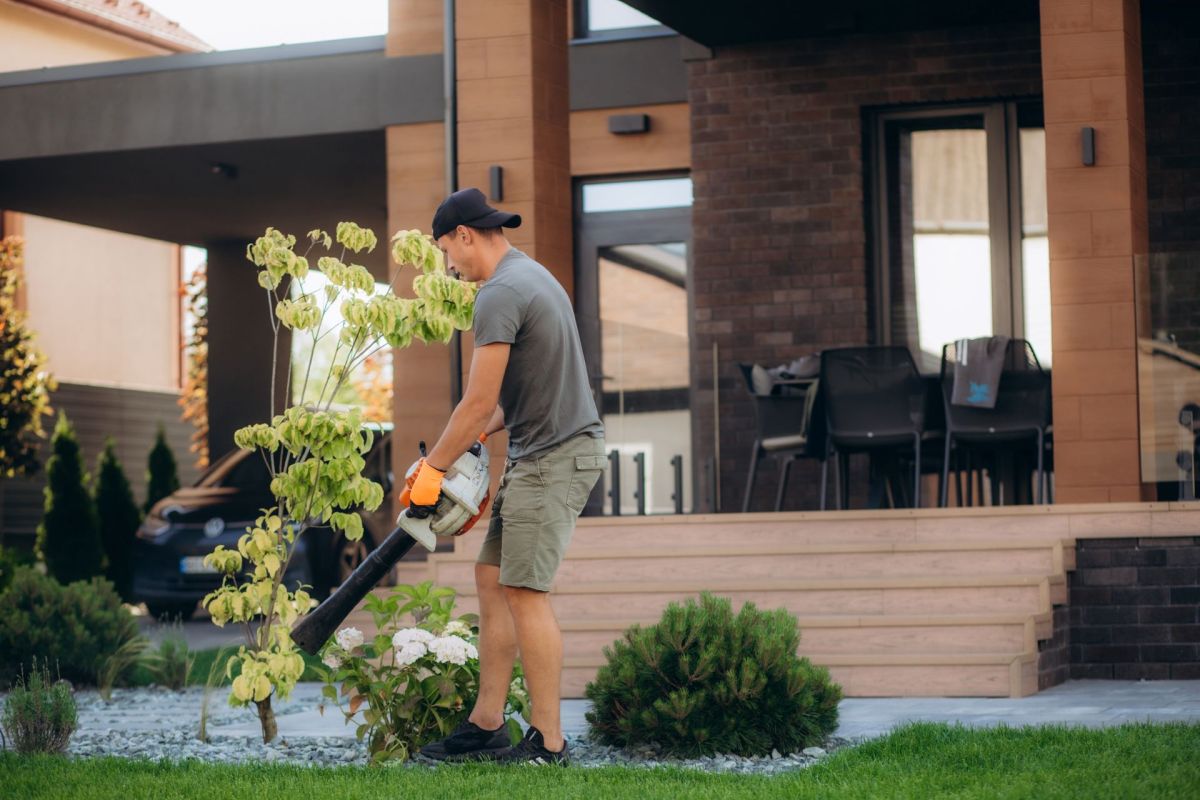 "My neighbor hires a guy to come twice a week, and all he does is blow dirt."