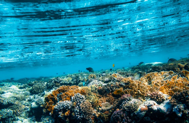 "Human activities are fundamentally changing our oceans."