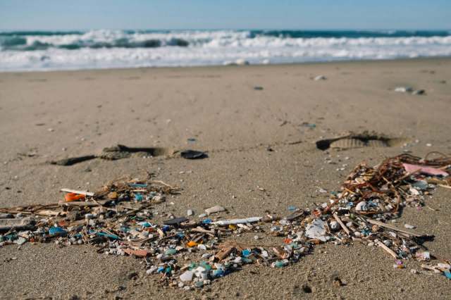 It’ll take a collective effort to prevent oceanic troubles for good.