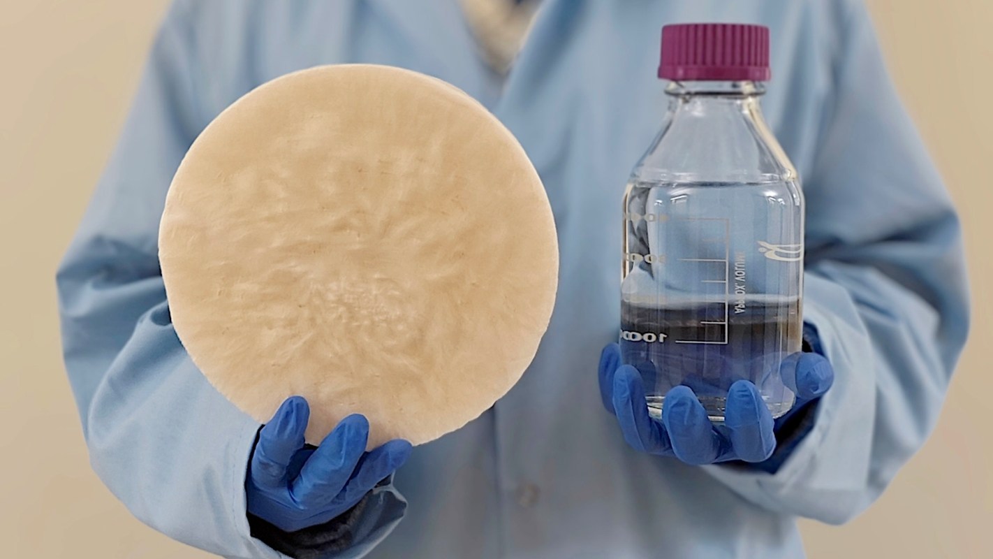 Conventional water harvesting methods require petrochemicals and considerable energy consumption.