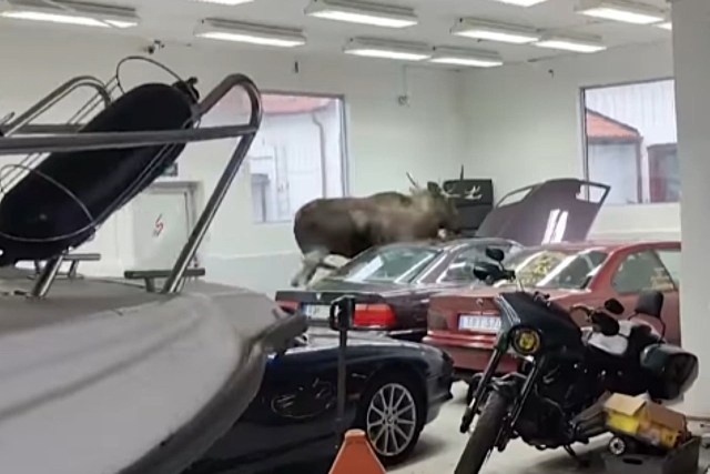 "Try explaining it to your insurance without a video."