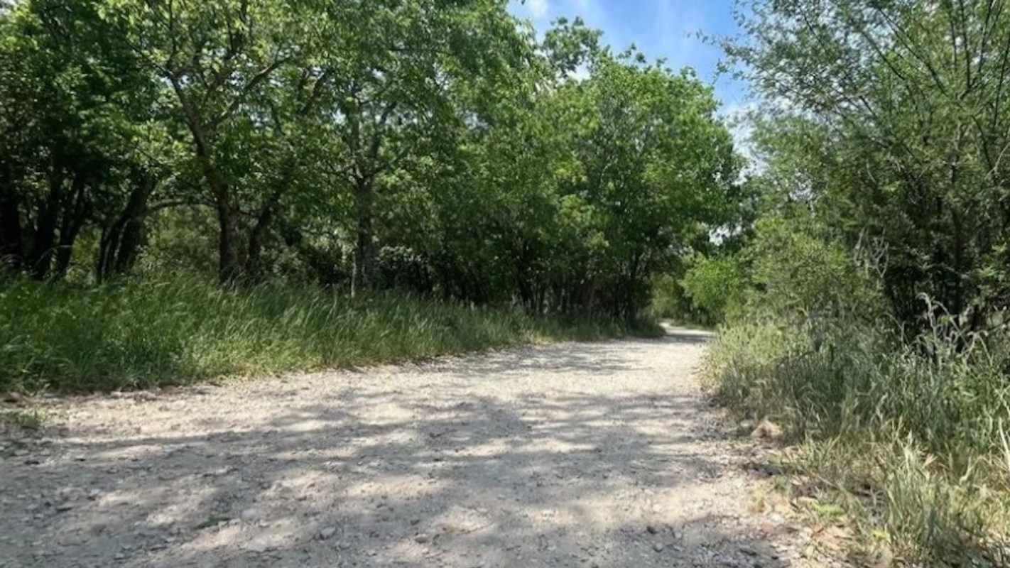 "These greenspaces are home to many types of wildlife."