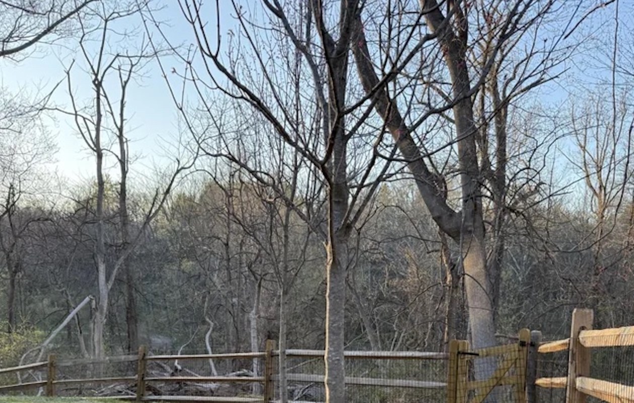 "Appalling that a professional landscaper is responsible for it."
