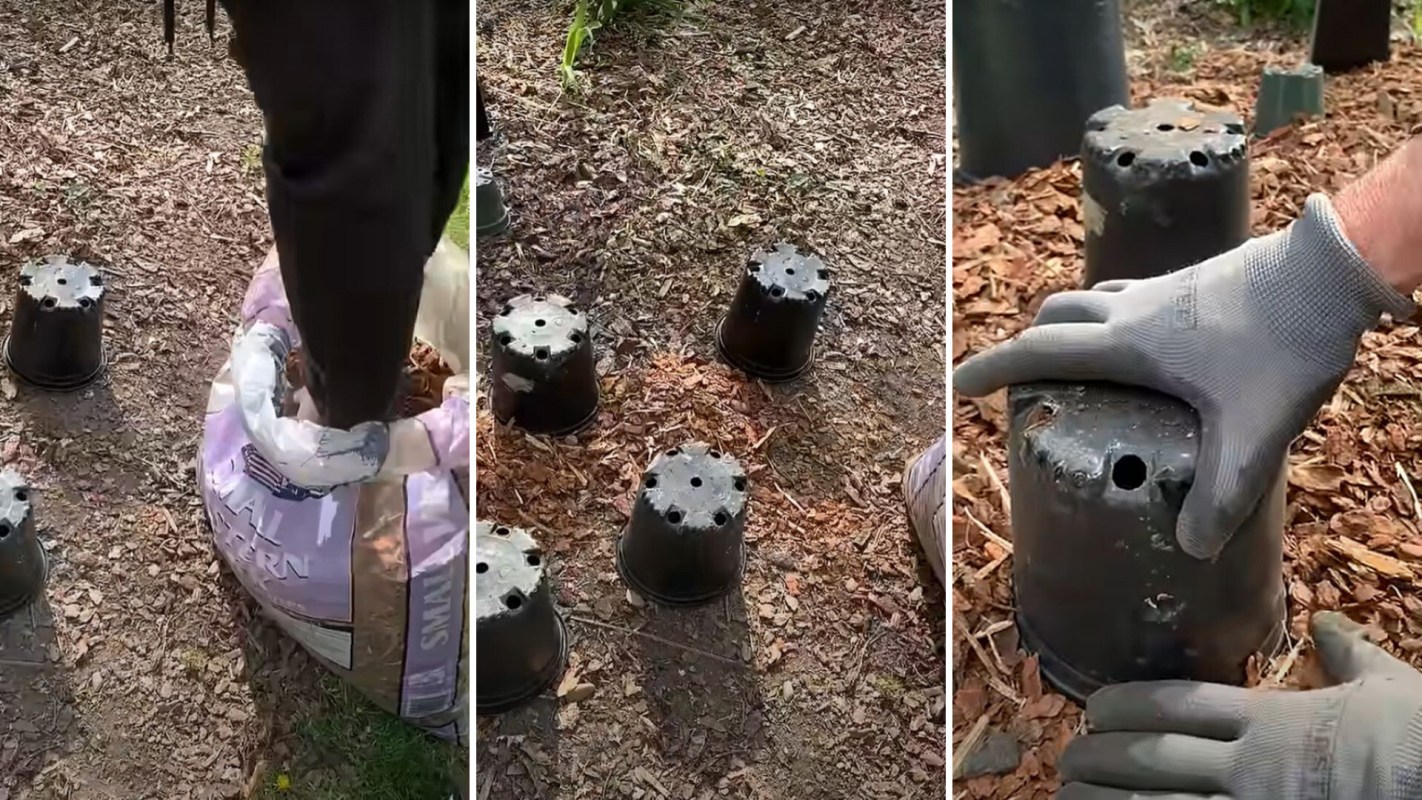 "It's a great way to put that stash of nursery pots in your shed to use!"