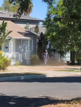 "My neighbor hires a guy to come twice a week, and all he does is blow dirt."