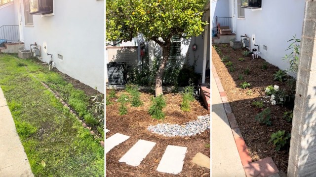 "You can definitely sheet mulch with cardboard."