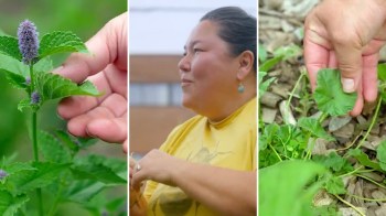 "I would love to learn more about native edible plants."