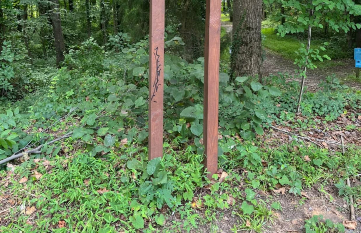 "Check with your local nature center."