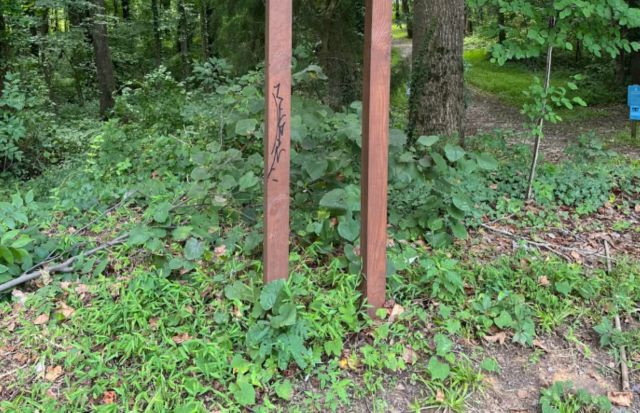 "Check with your local nature center."