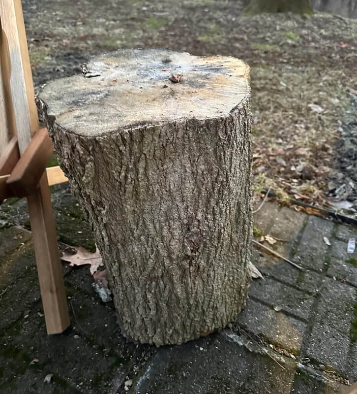 Tree law is serious business and can result in hefty damages.