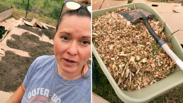 "This is better for moisture retention than soil."