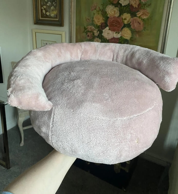 "You have one lucky doggo!"