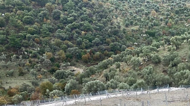 "It's a shame what people do with nature in our region."