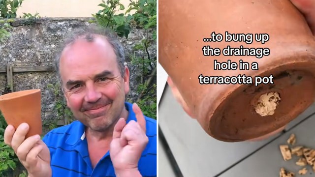 "Nice one!"
