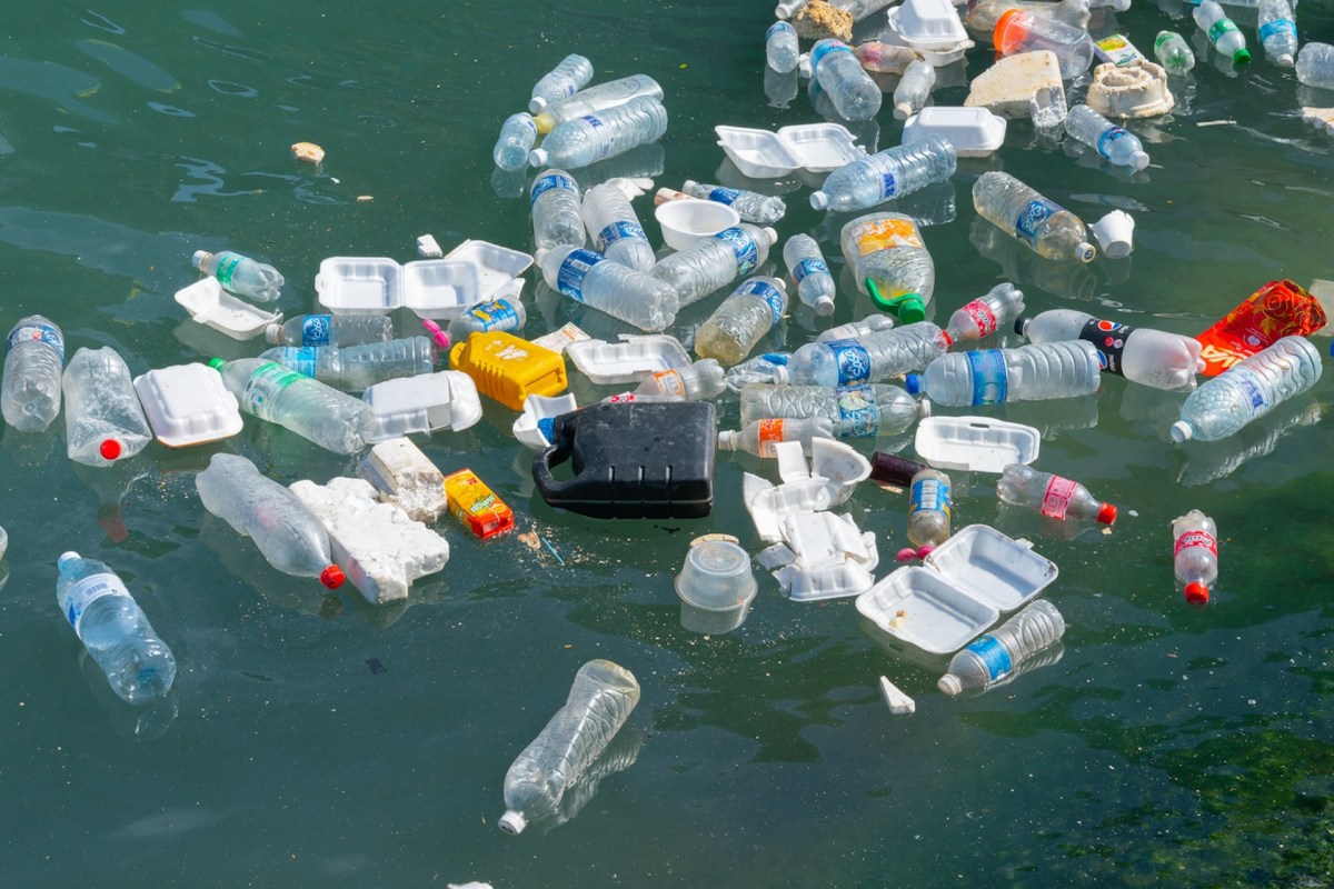 "This is a tangible step toward solving one of the planet's most pressing ecological crises."