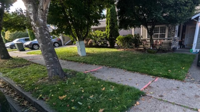 “I can't afford to do a new lawn, but I need to satisfy the HOA."