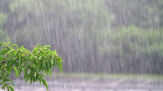"Renewable energy from nature can be harvested freely for generating electricity."